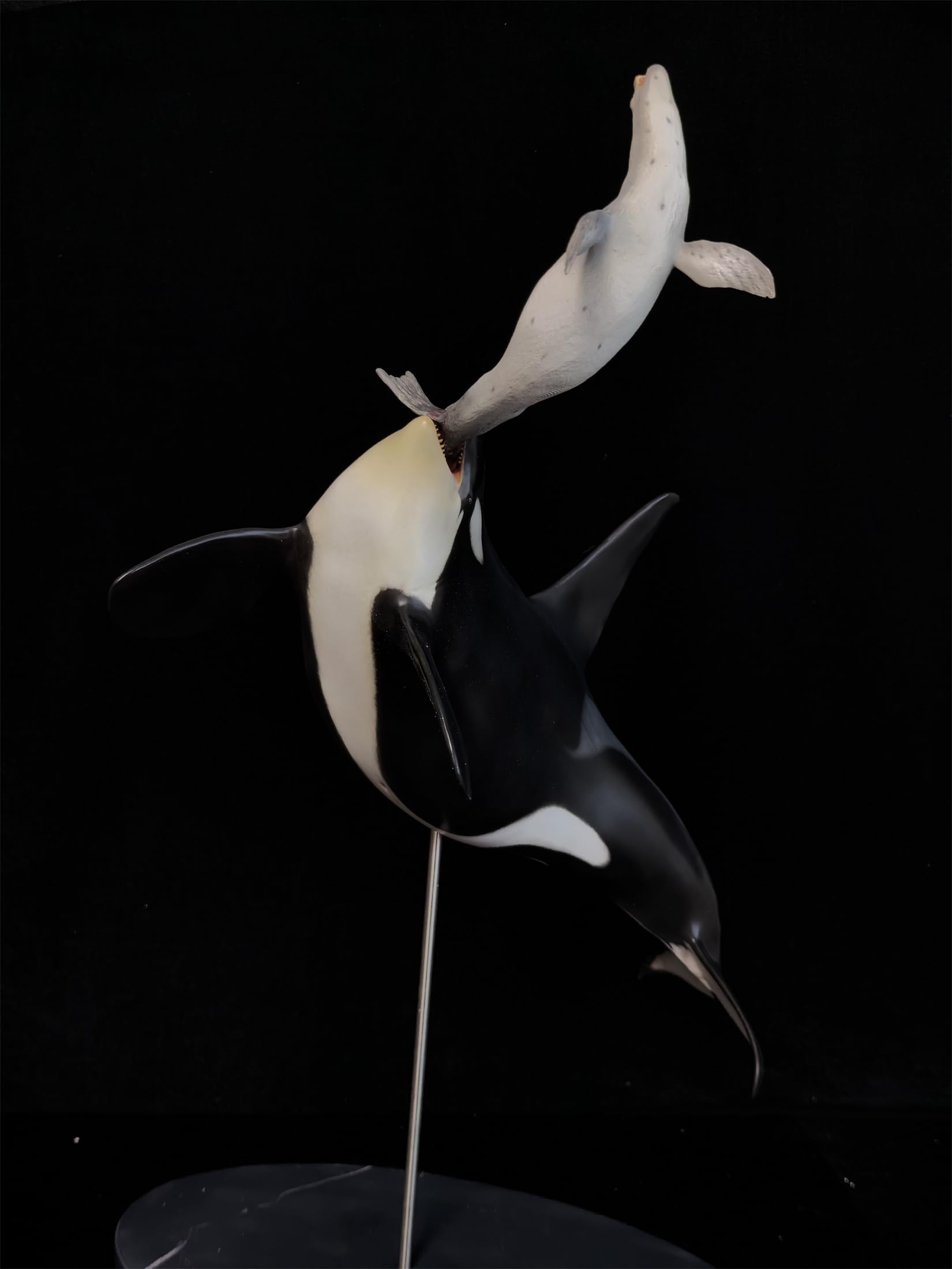 作品名 シャチと月　　F0サイズ Amazon | BACALYSO | MEMORY MUSEUM 1/15 サイズ シャチ フィギュア